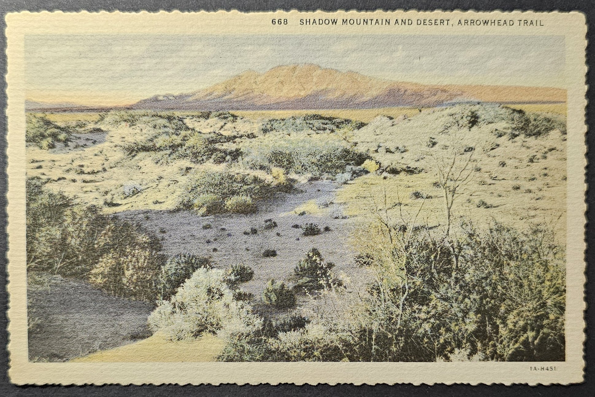 (image for) postcard USA - CA - California #0075